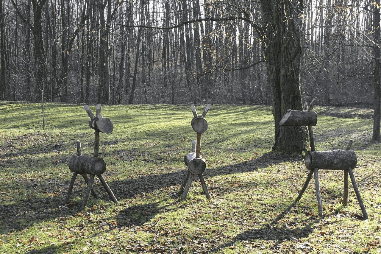 Śląski Ogród Botaniczny w Radzionkowie