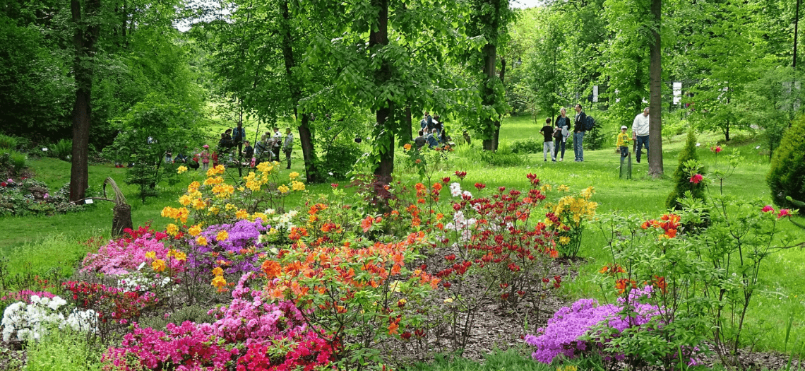 Śląski Ogród Botaniczny w Radzionkowie