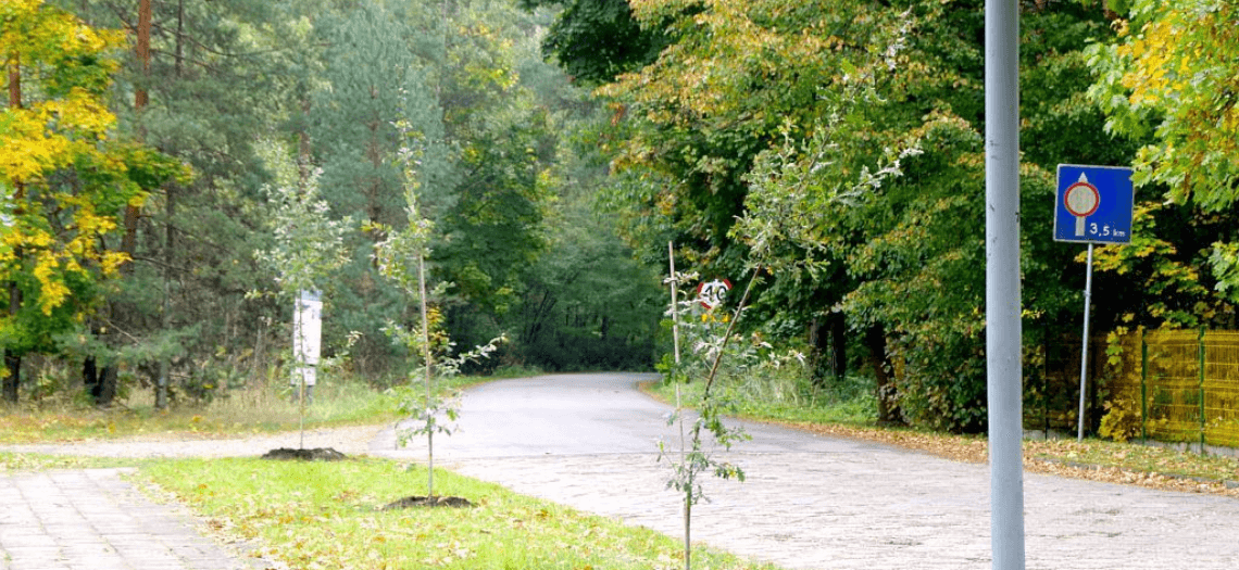 Aleja Dębów w Kaletach