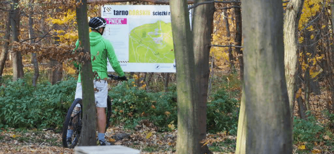 Tarnowskie Góry. Trasa rowerowa w Parku Repeckim