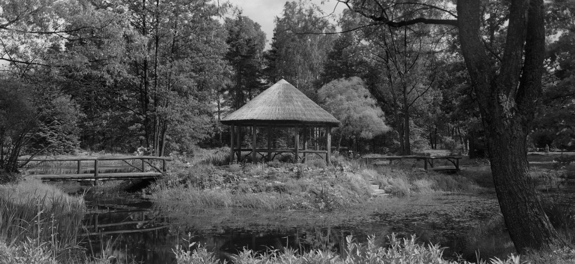 Park pałacowy w Brynku