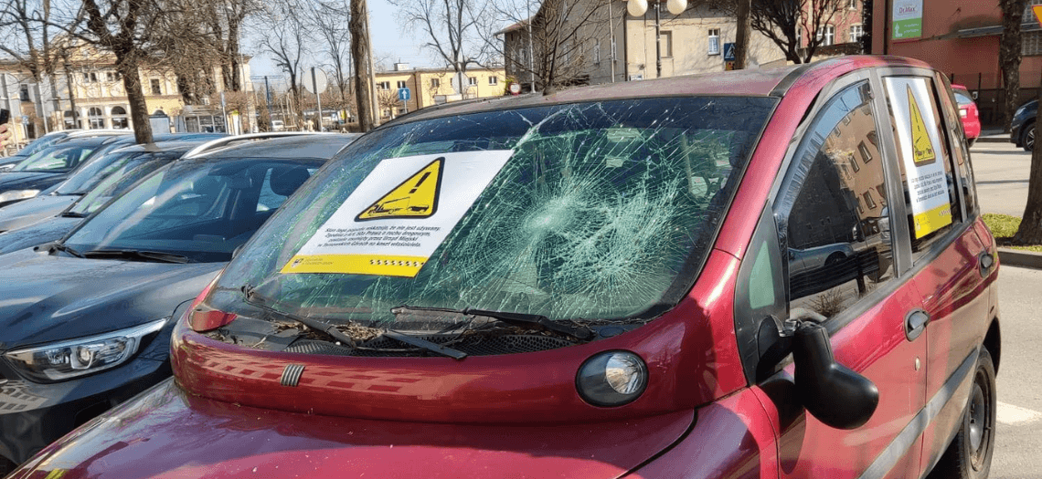 Akcja sprzątania wraków w Tarnowskich Górach
