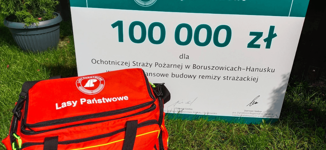 Dotacja dla OSP Boruszowice - Hanusek