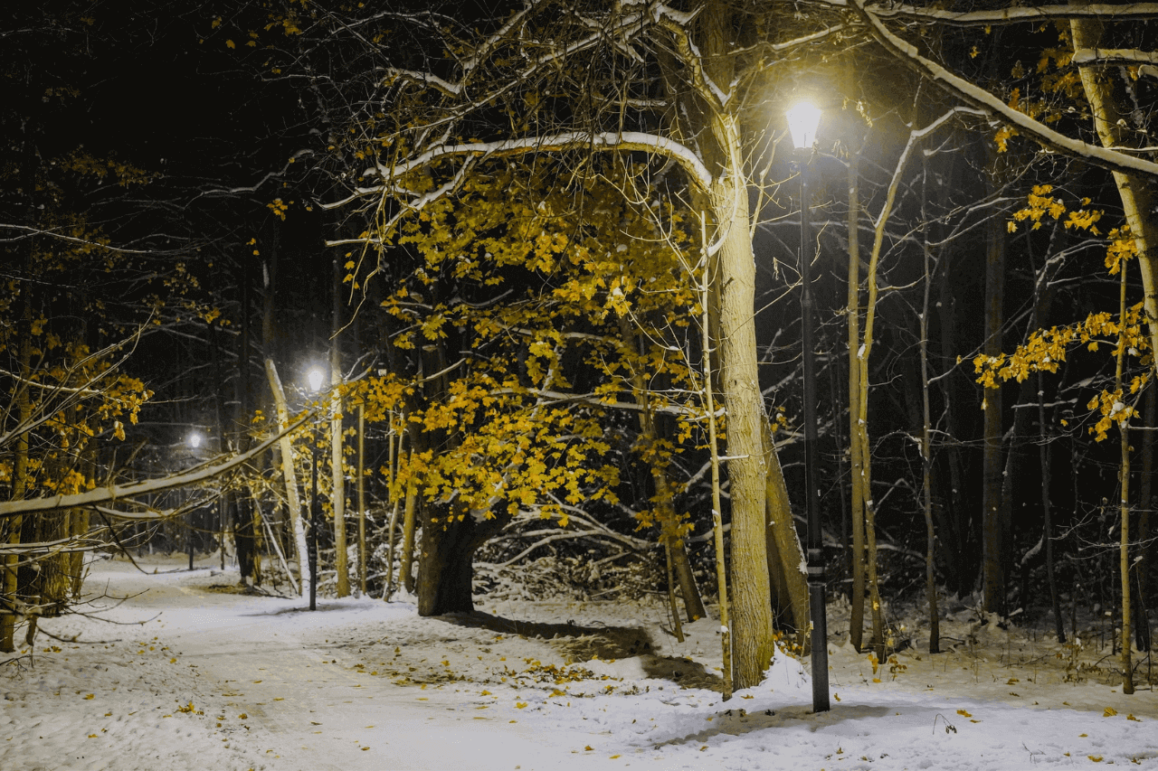 Nowe oświetlenie w Parku Repeckim