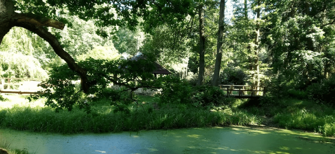 Ogród botaniczny w Brynku