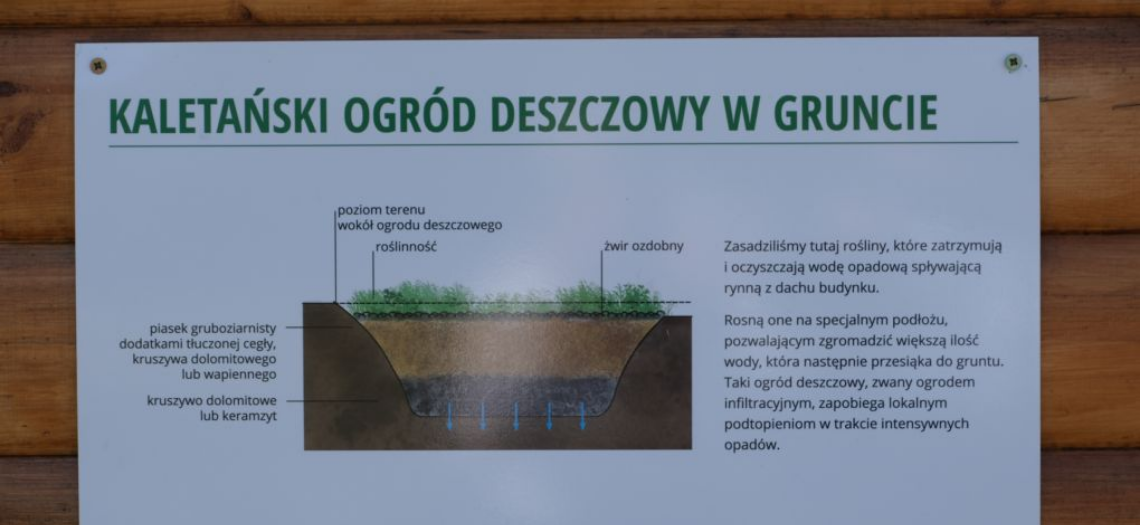 Ogród deszczowy w Kaletach