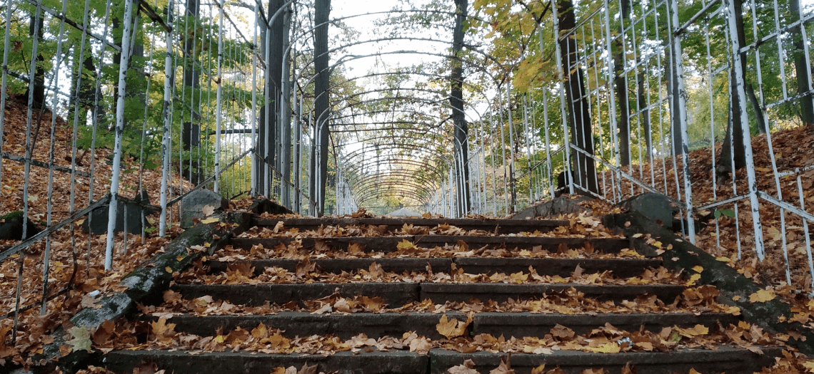 Park Miejski w Tarnowskich Górach 10