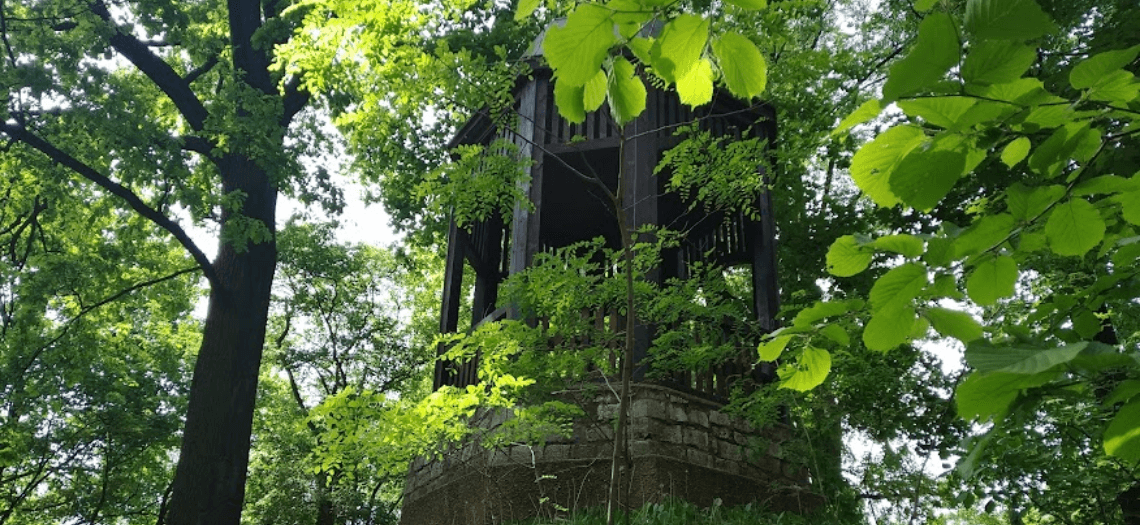 Park Miejski w Tarnowskich Górach