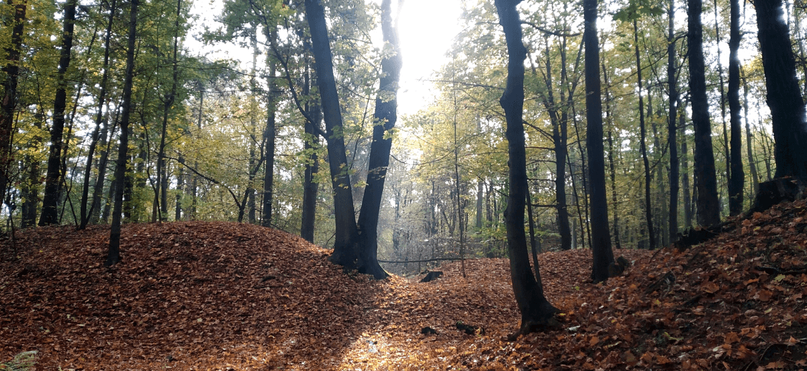 Park Miejski w Tarnowskich Górach 3