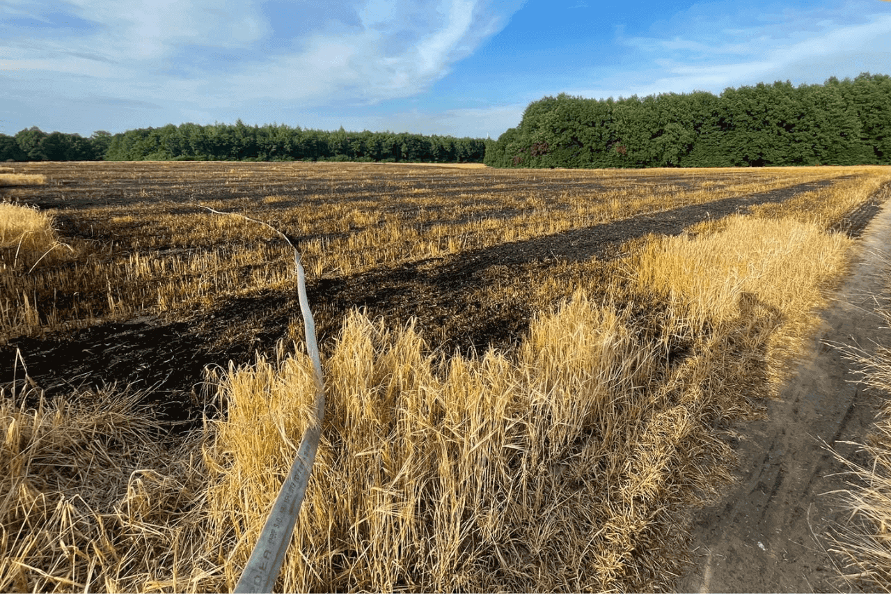 Pożar pola w Wieszowie