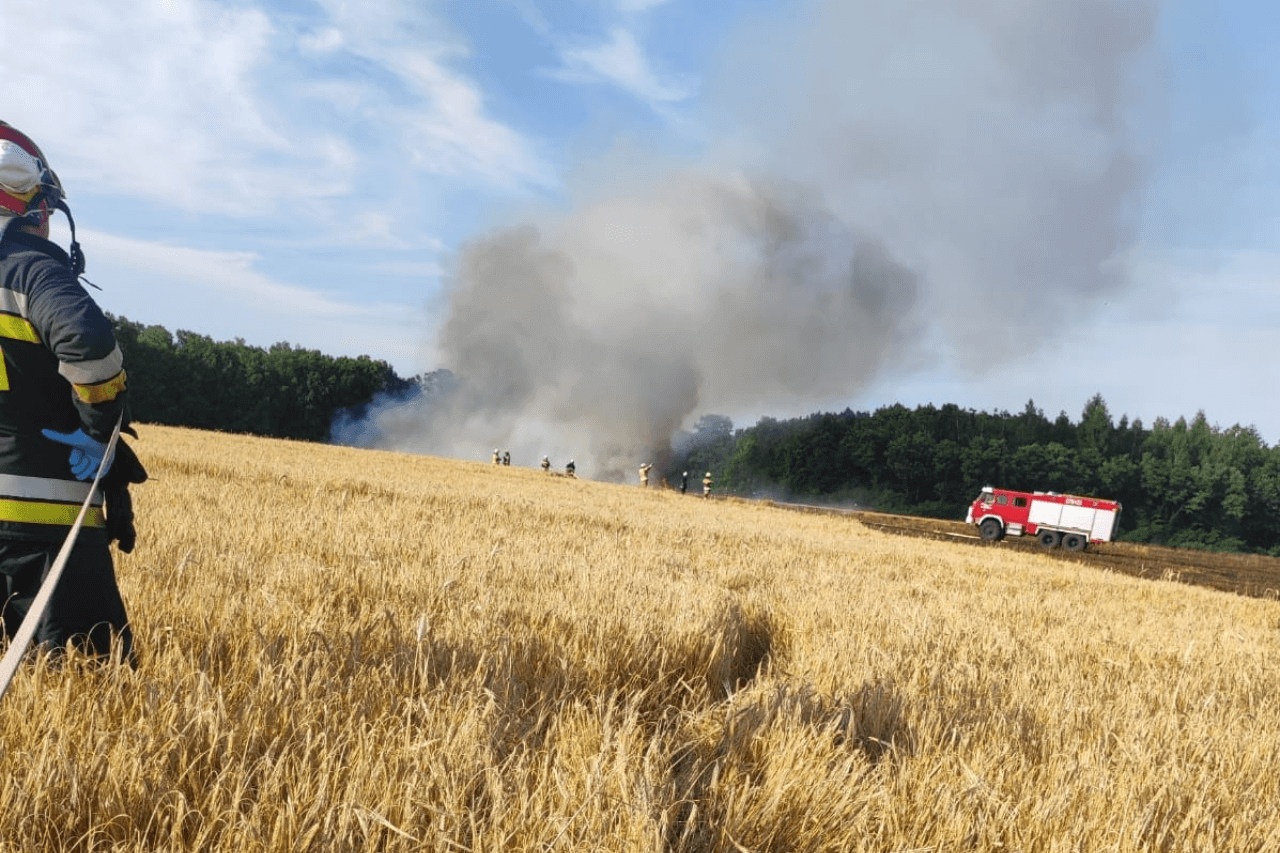 Pożar pola w Wieszowie
