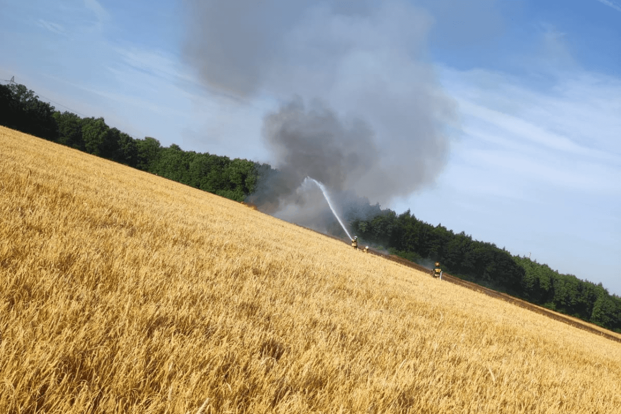 Pożar pola w Wieszowie