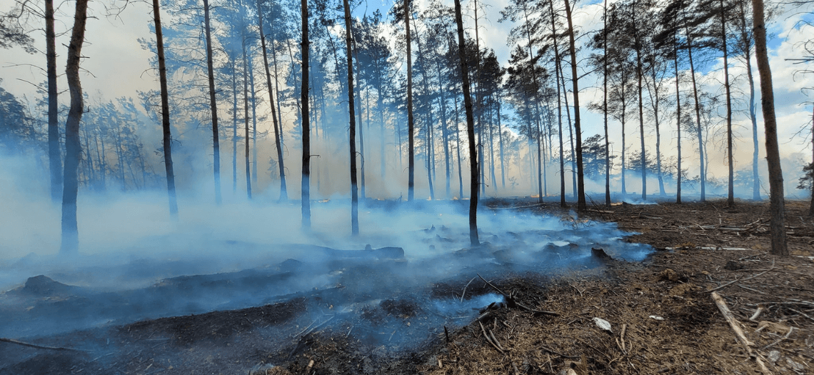 Pożar w Miasteczku Śląskim - Żyglinku
