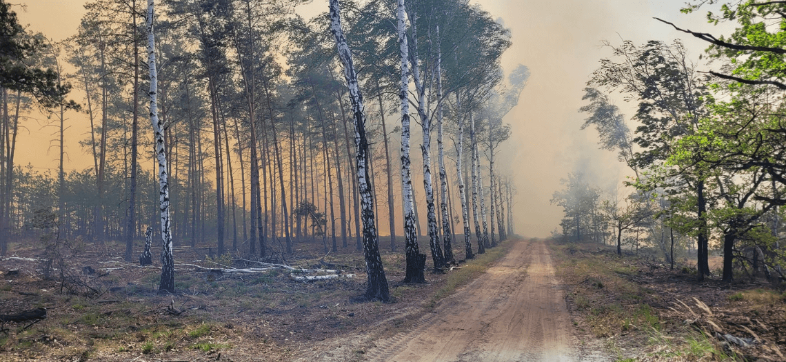 Pożar w Miasteczku Śląskim Żyglinku