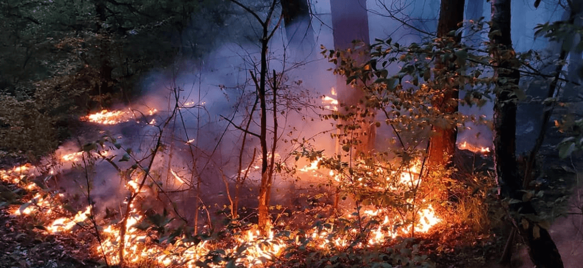 Pożar w gminie Krupski Młyn