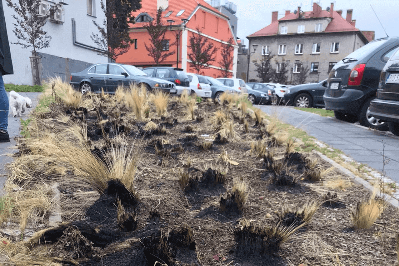 Podpalenie w Tarnowskich Górach 1