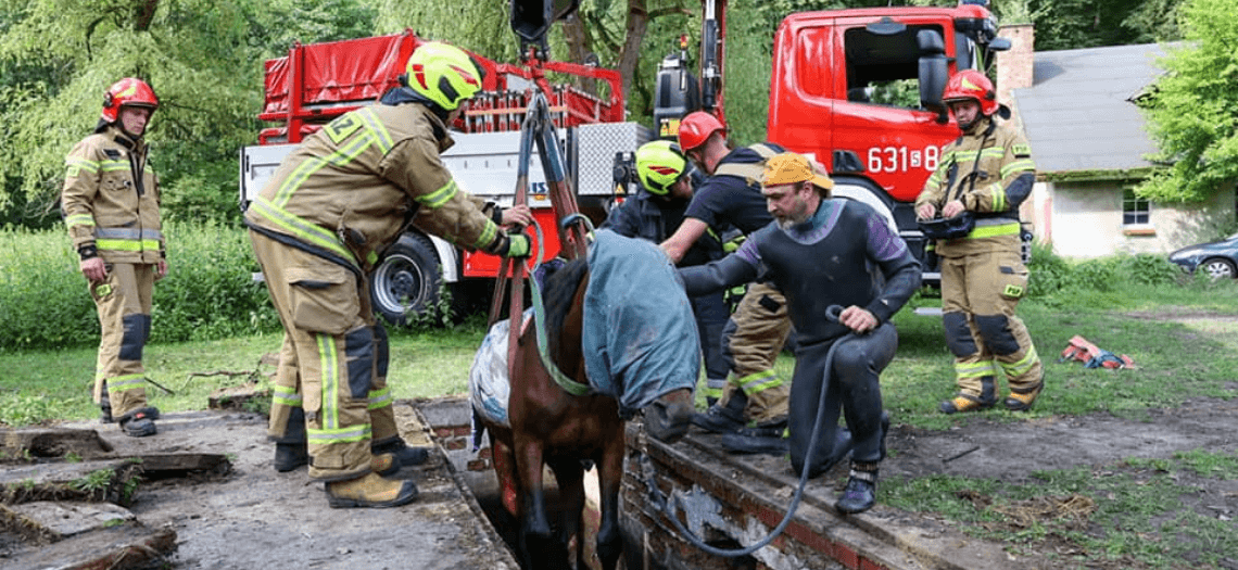 Strażacy ratowali konia