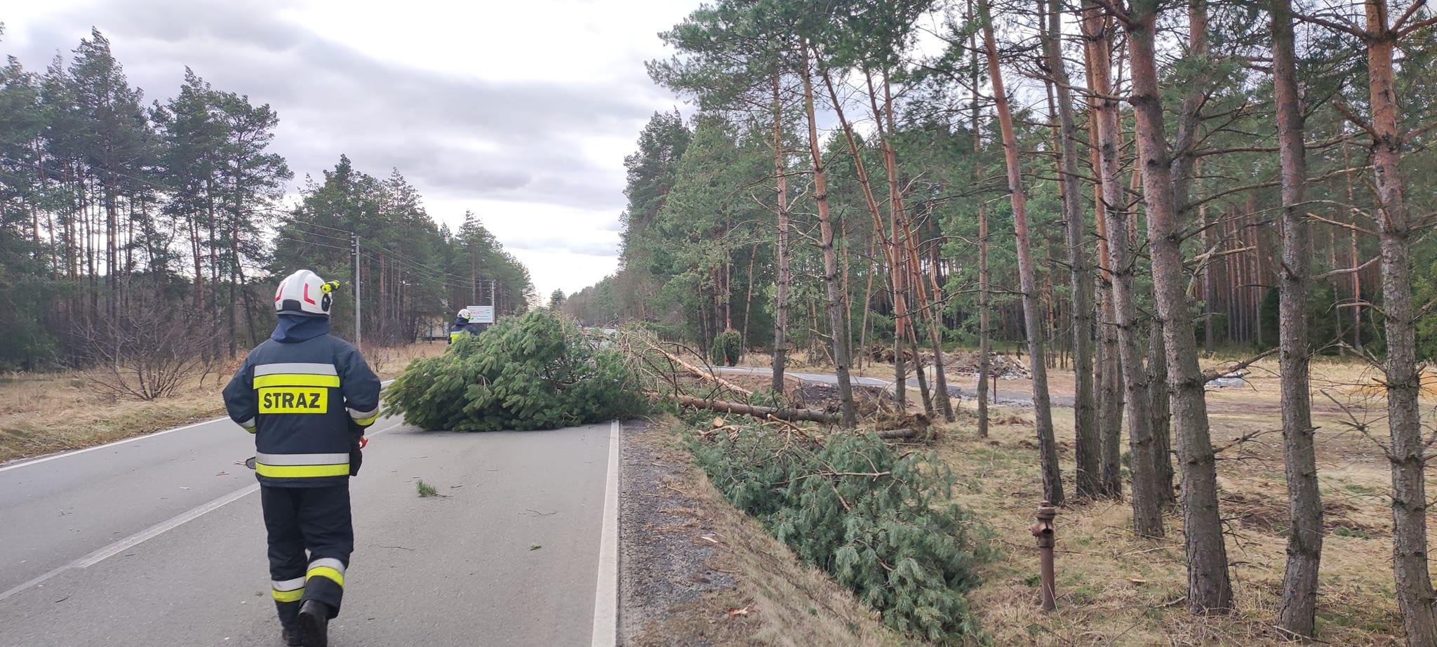 Strażacy z OSP Kalety w akcji