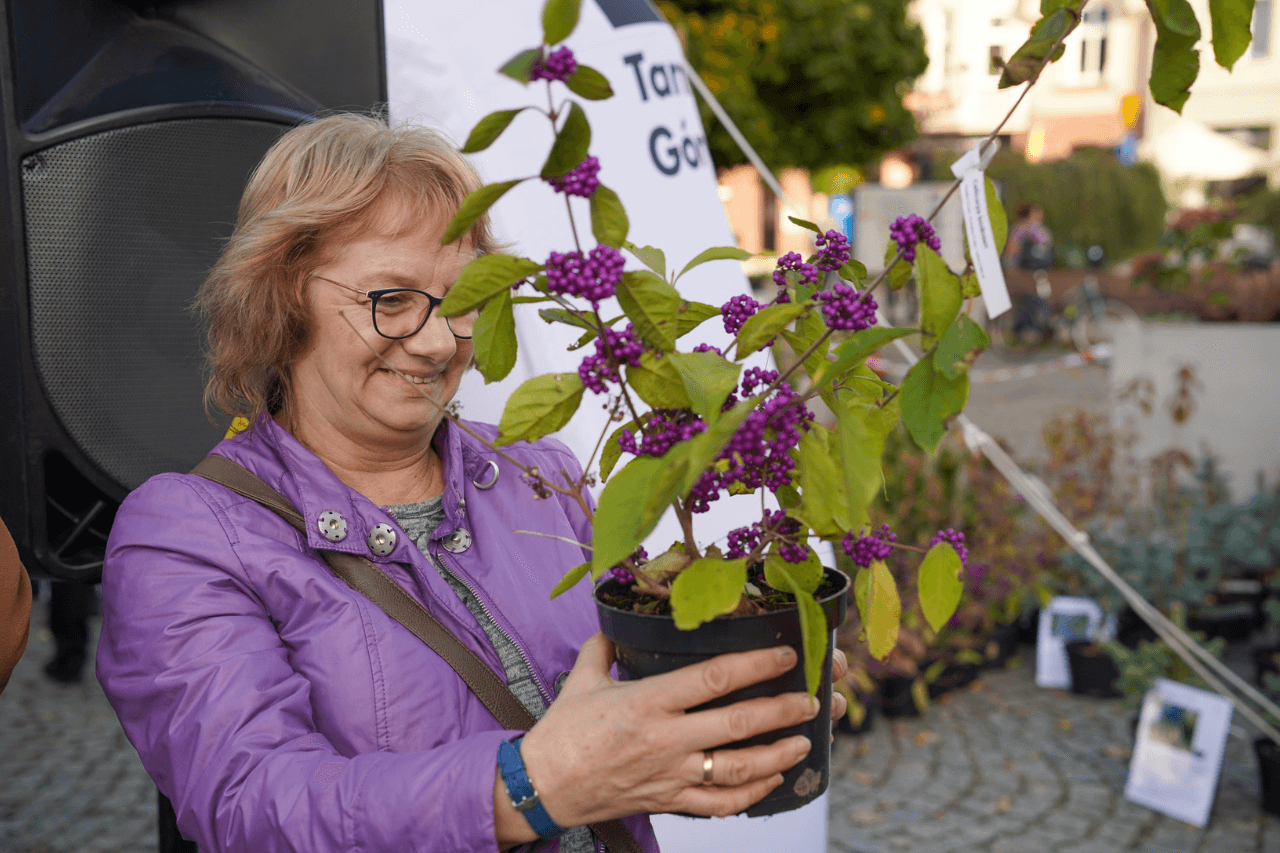 Tarnogórskie Święto Drzewa 2023