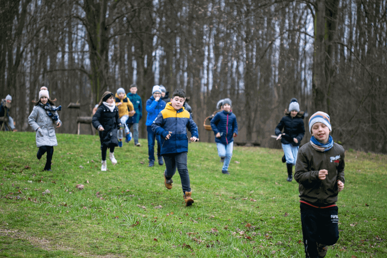 Wiosna w Śląskim Ogrodzie Botanicznym