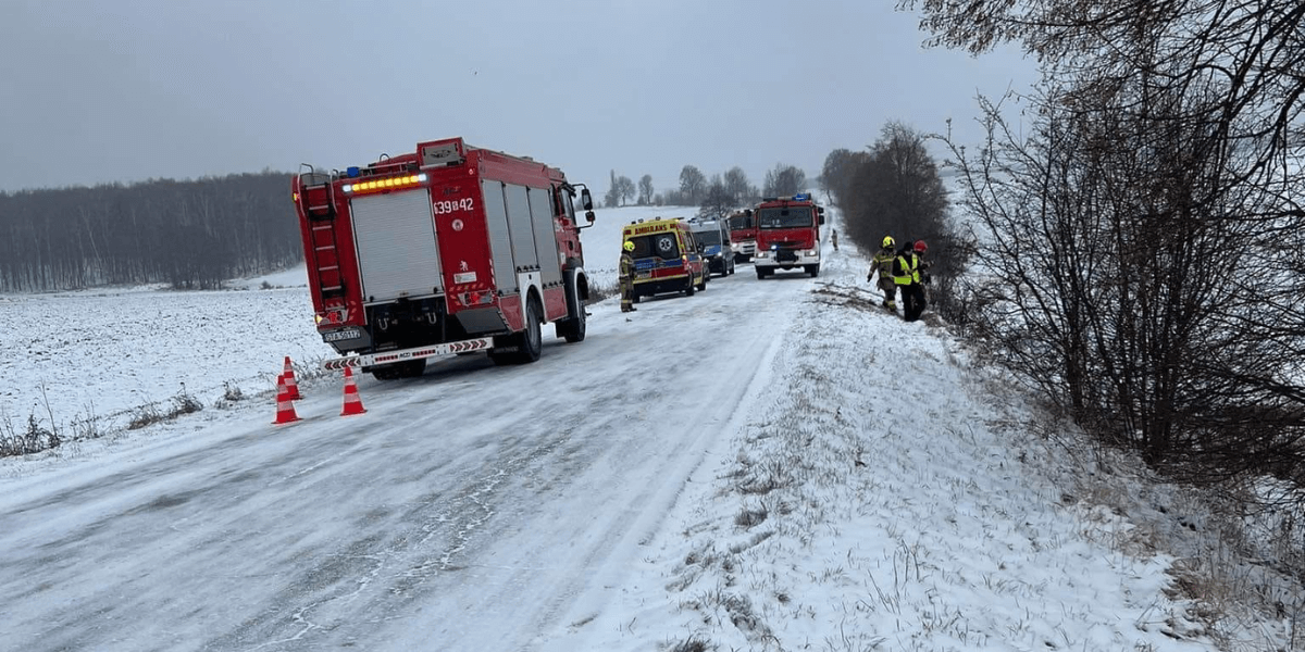 Zdarzenie w Ptakowicach