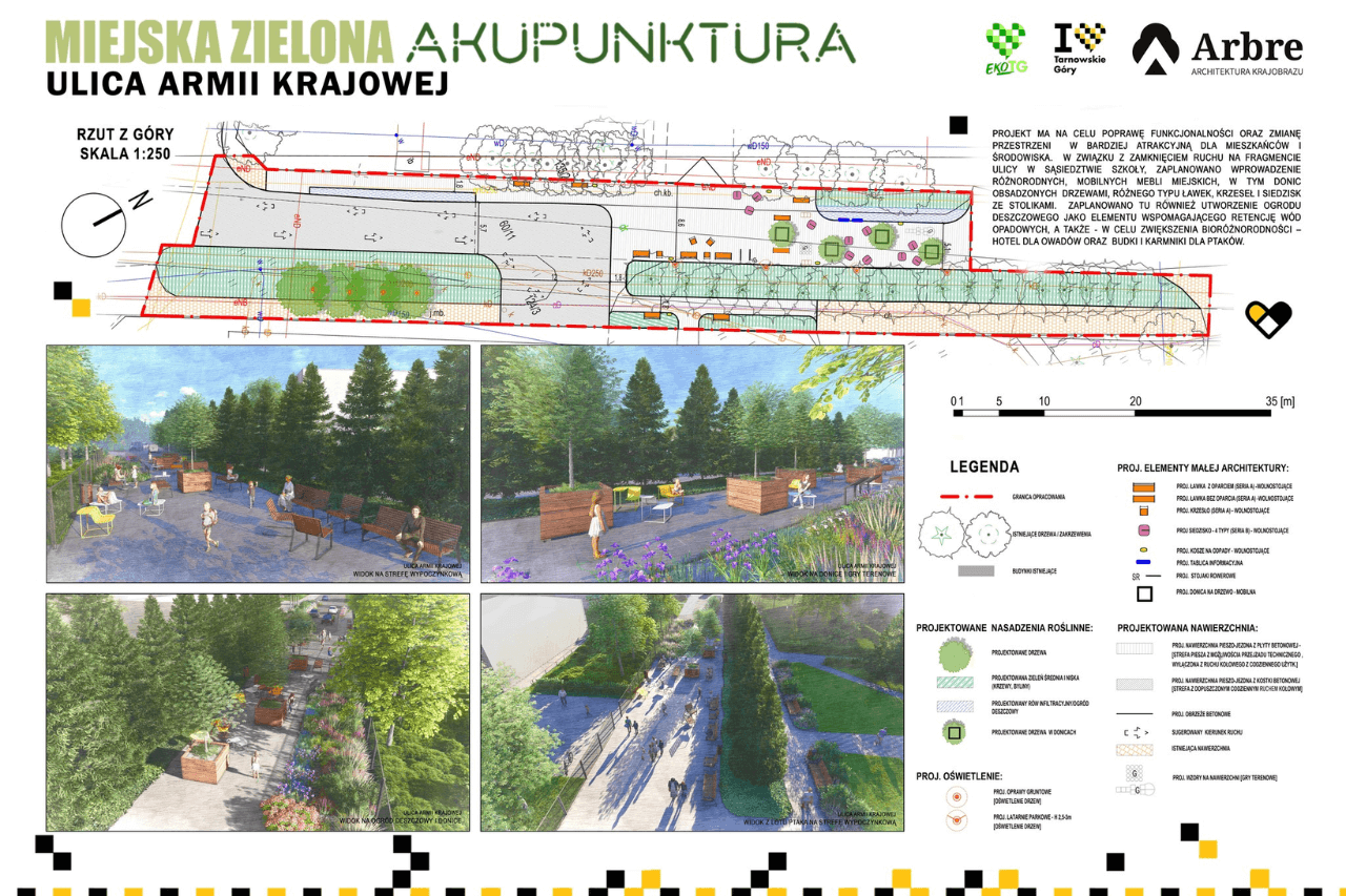 Zielona Akupunktura w Strzybnicy