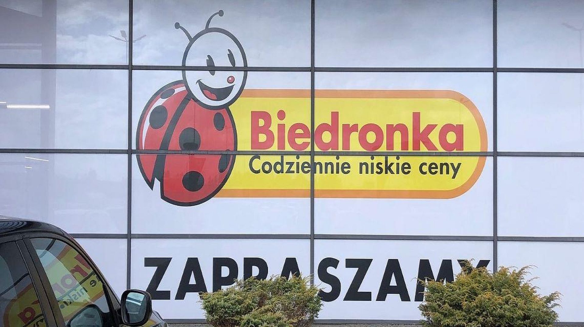 Biedronki 24 na dobe Biedronki 24 na dobe