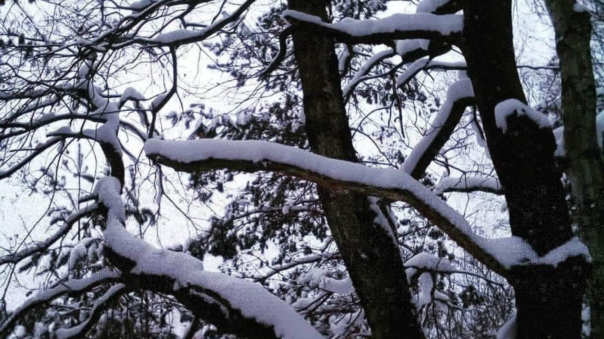 Tarnowskie gory pogoda Tarnowskie gory pogoda