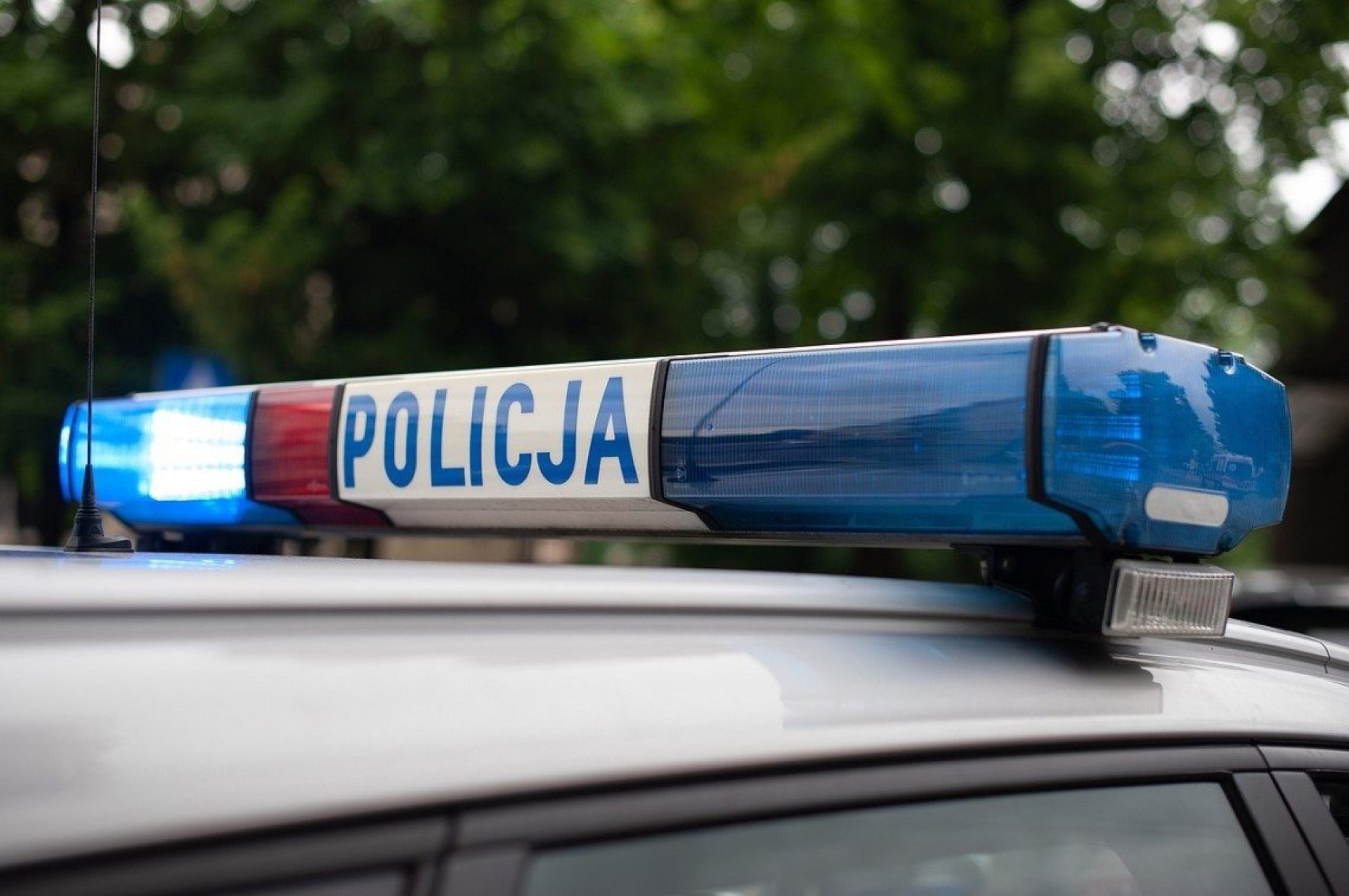 Policja Policja