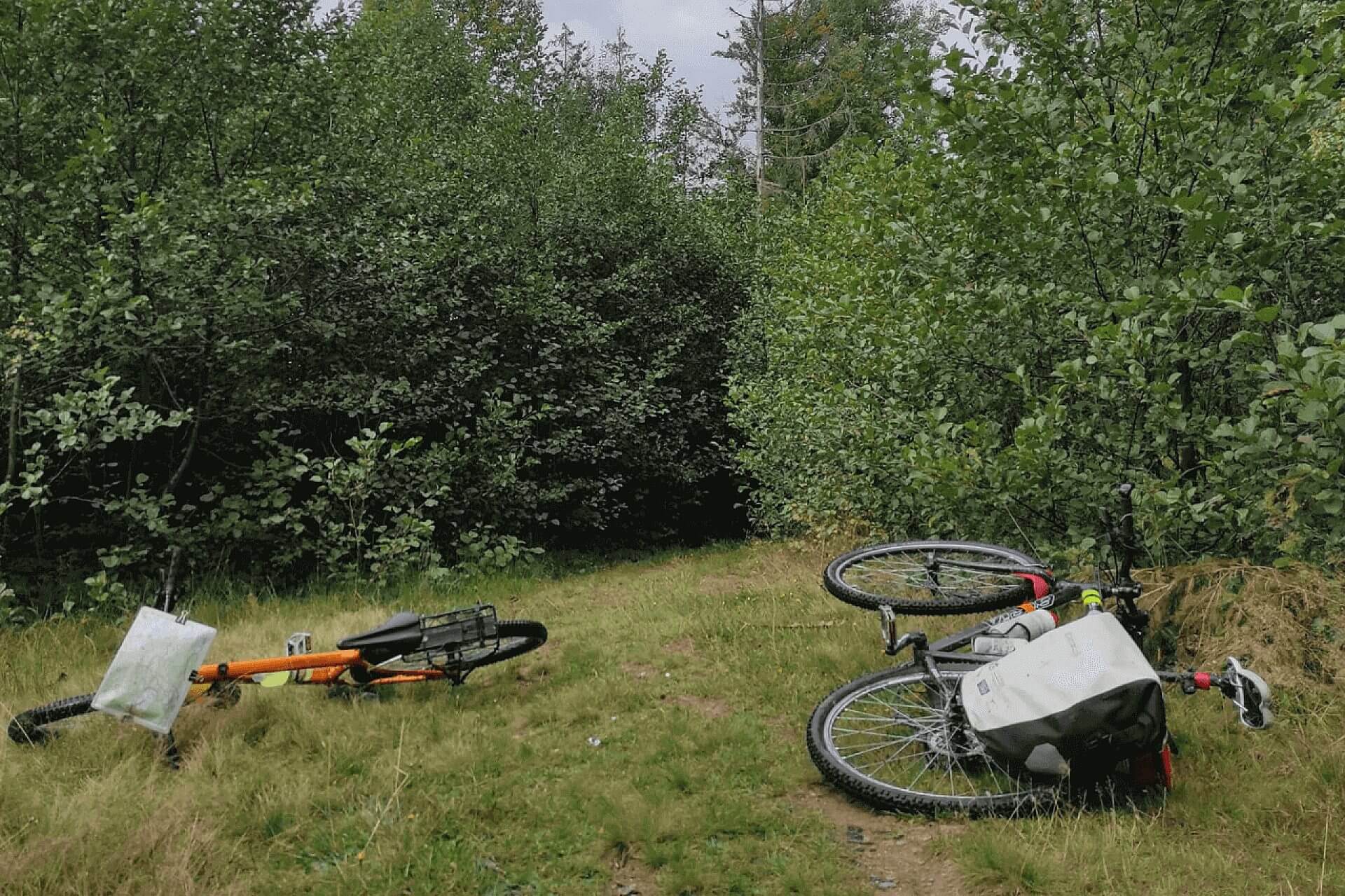 Tarnowskie Góry 2023 02 28 T170723 181 Tarnowskie Góry 2023 02 28 T170723 181