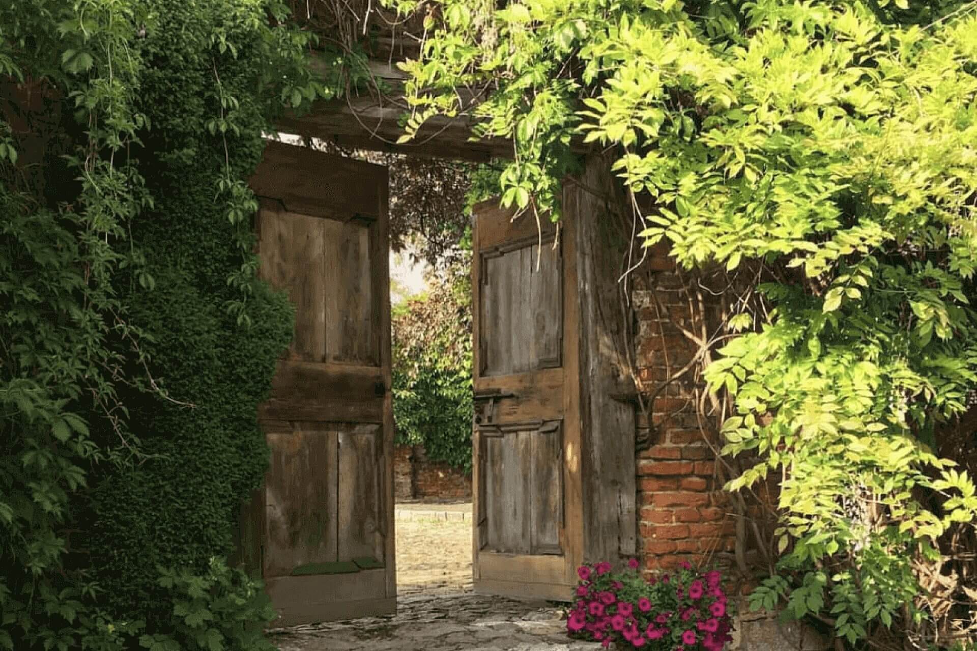 Tarnowskie gory wisniowy sad Tarnowskie gory wisniowy sad