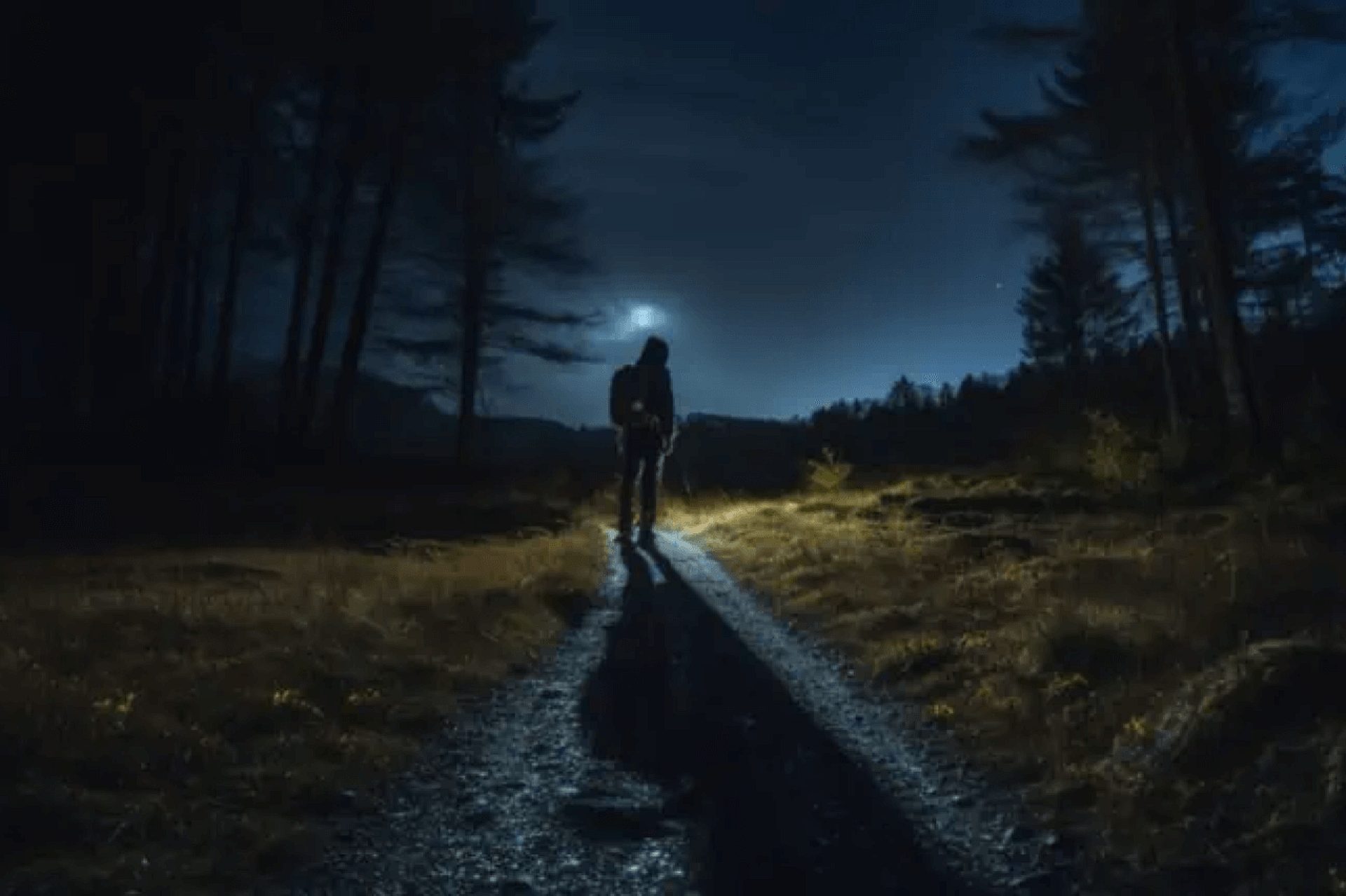 Edk tarnowskie gory 2024 Edk tarnowskie gory 2024