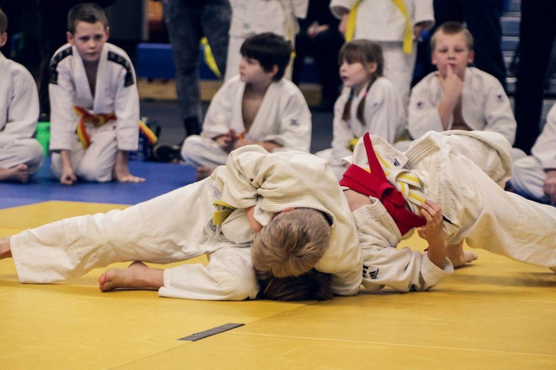 Judo 4454835 1920 Judo 4454835 1920
