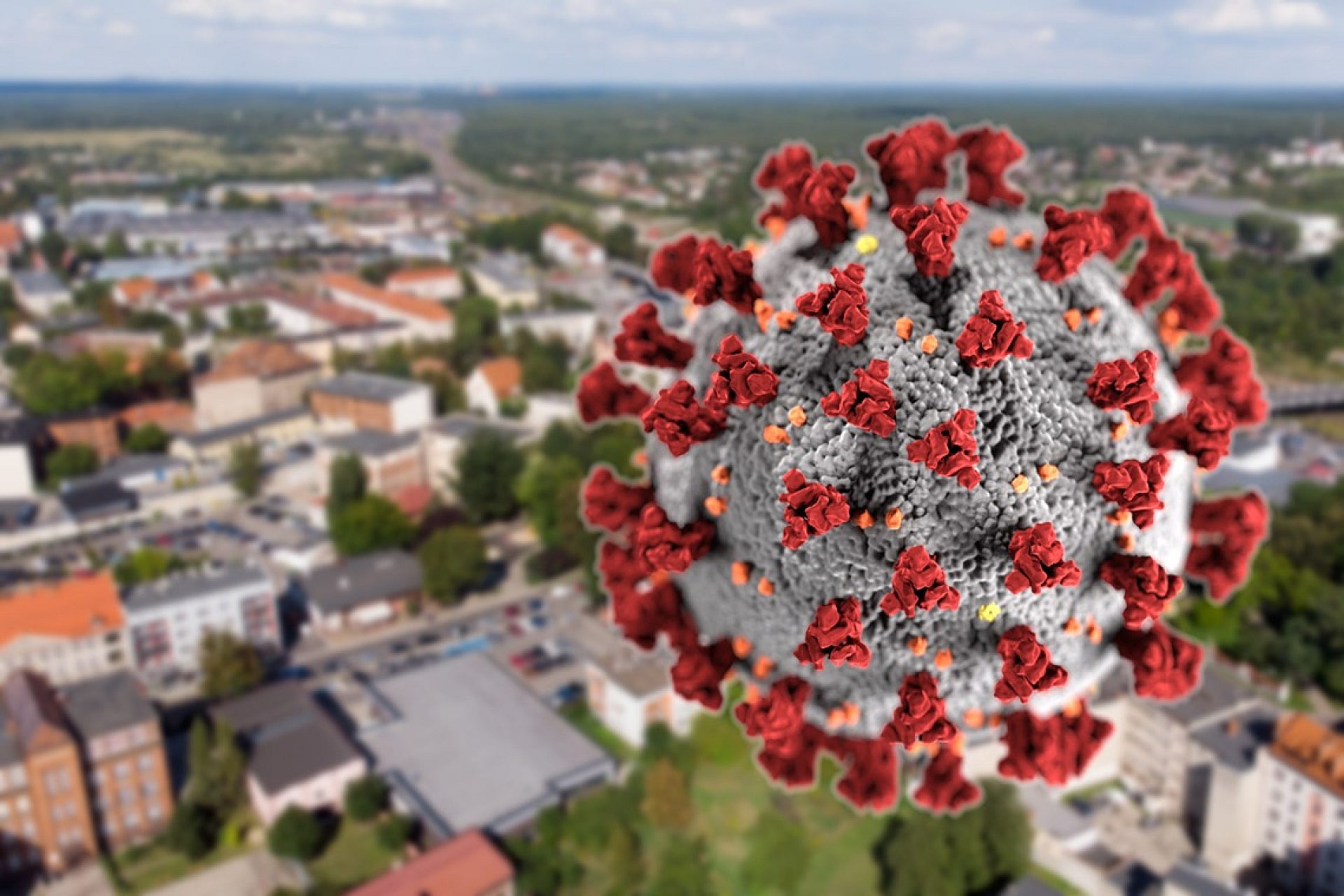 Koronawirus tg Koronawirus tg