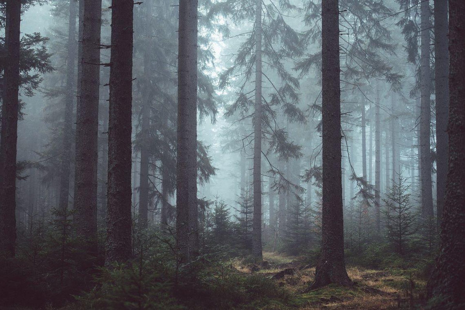 Tarnowskie gory samobojca Tarnowskie gory samobojca