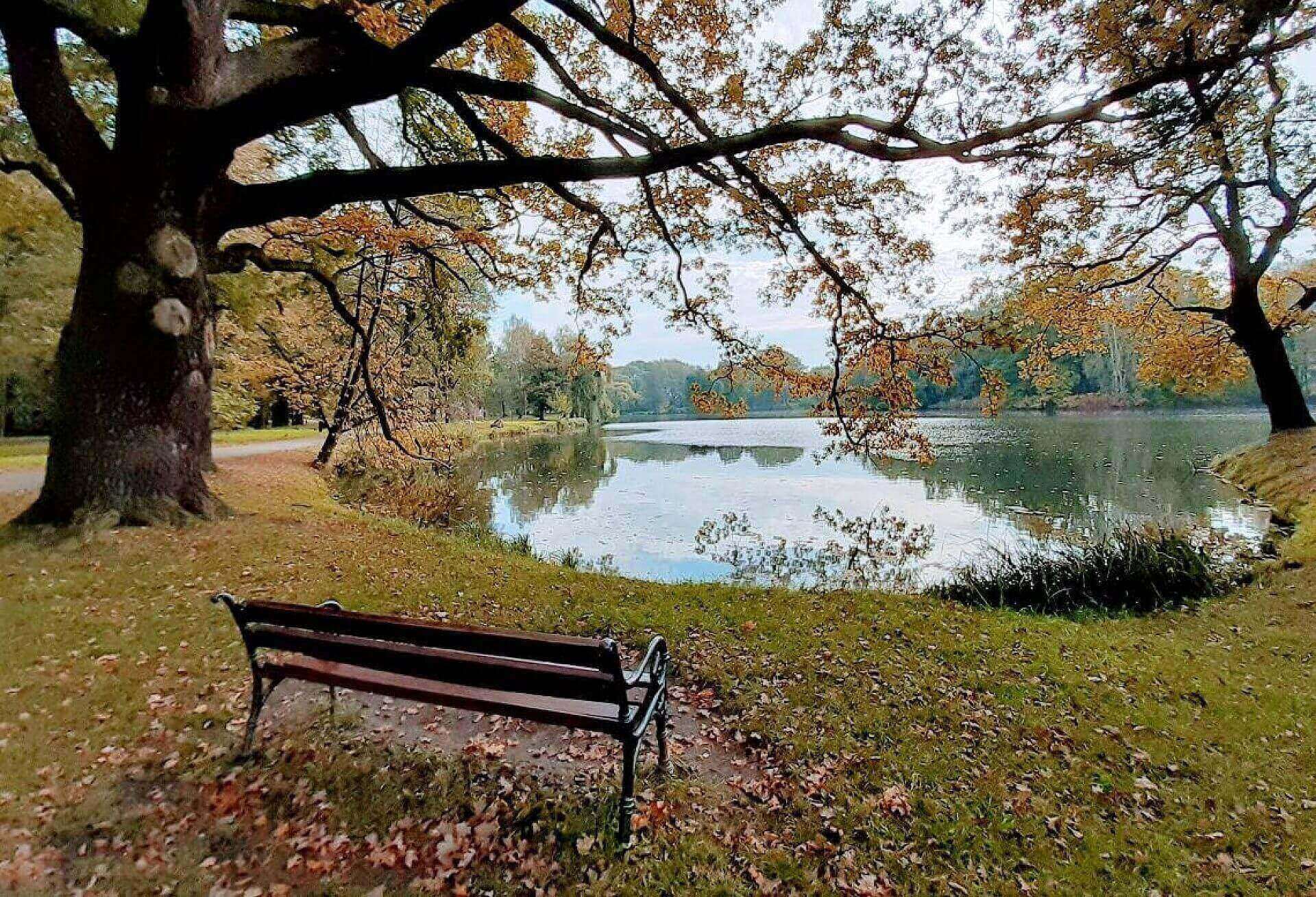 Park swierklaniec Park swierklaniec