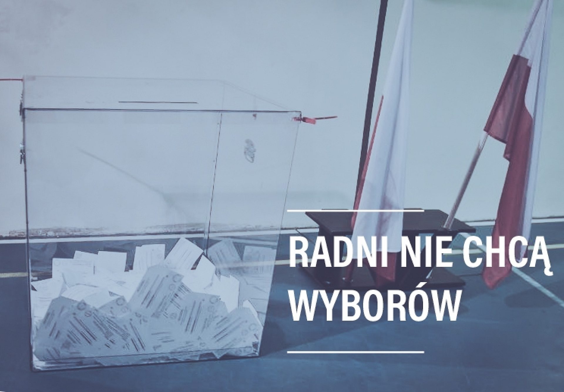 Radniwybory Radniwybory