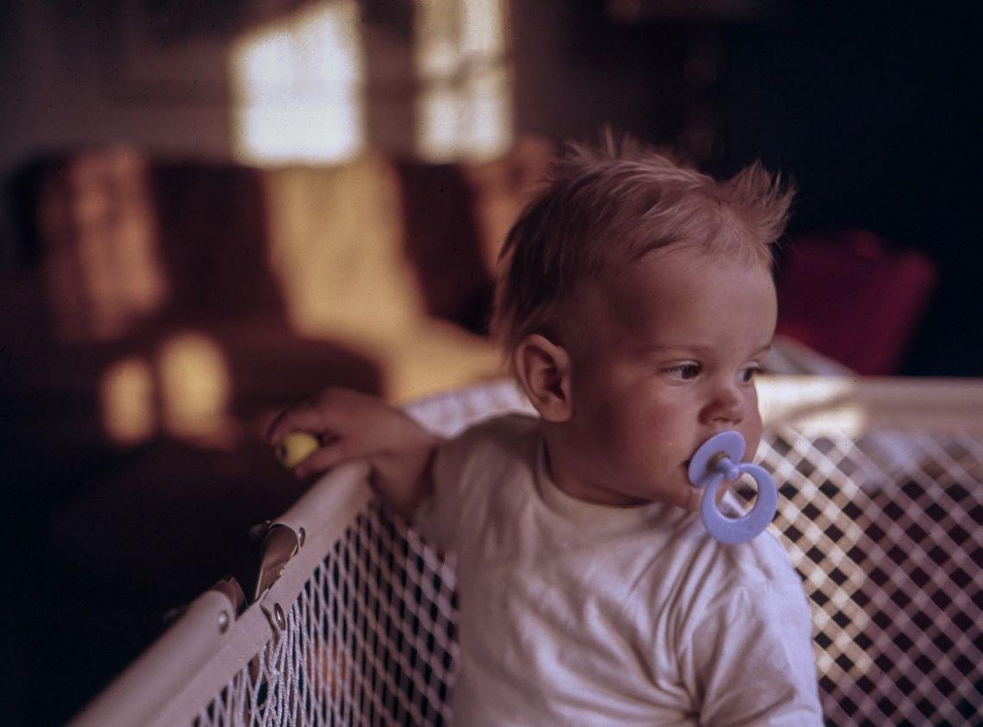 Zlobki tarnowskie gory Zlobki tarnowskie gory