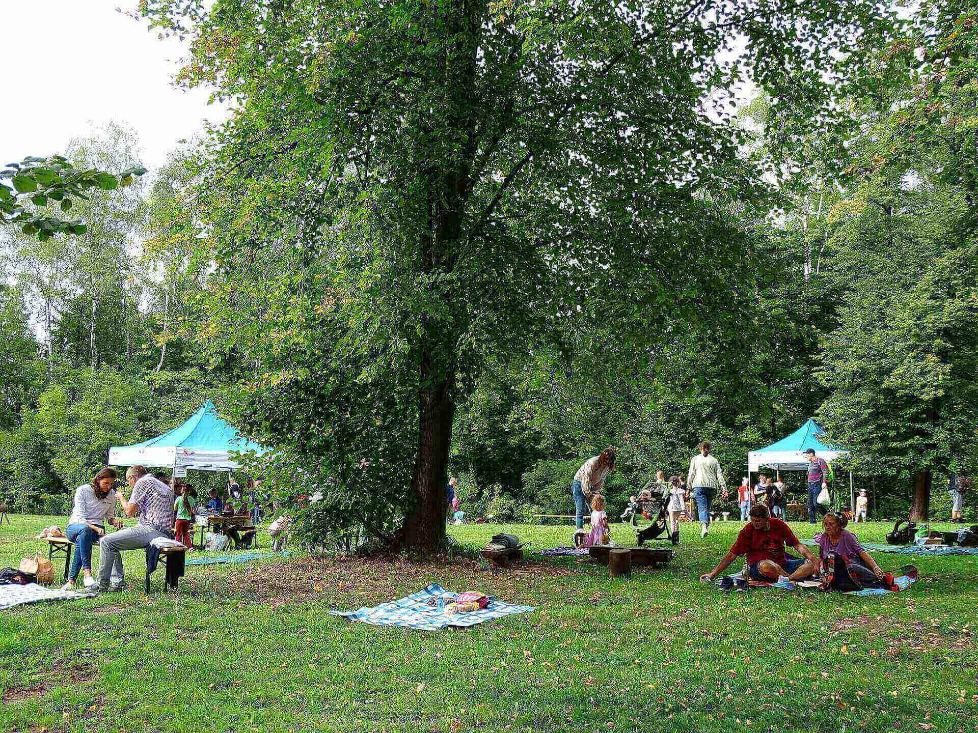 Radzionków wakacje 2023 Radzionków wakacje 2023