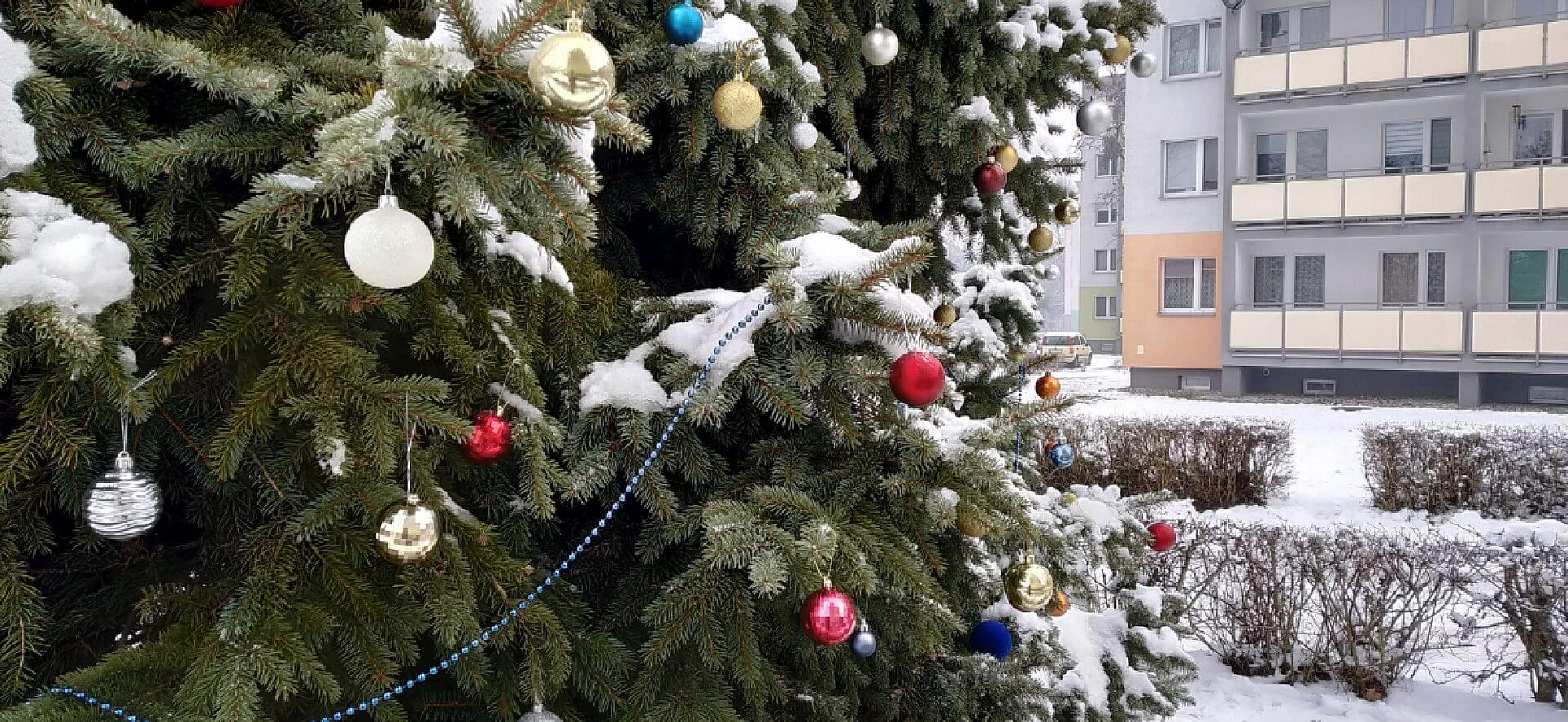 Choinka w Strzybnicy Choinka w Strzybnicy