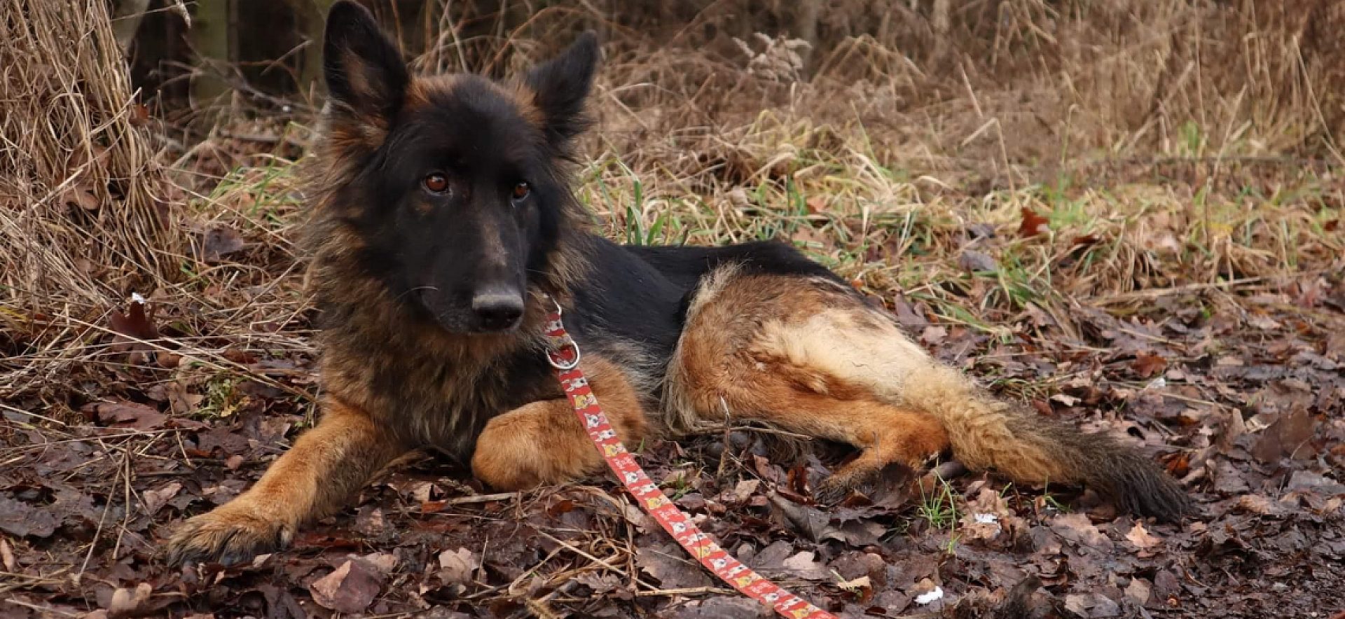 Schronisko w Miedarach - spacery Schronisko w Miedarach - spacery