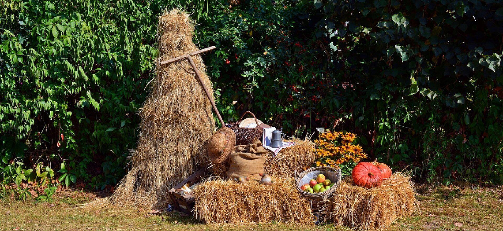 Dożynki Ożarowice 2021 Dożynki Ożarowice 2021