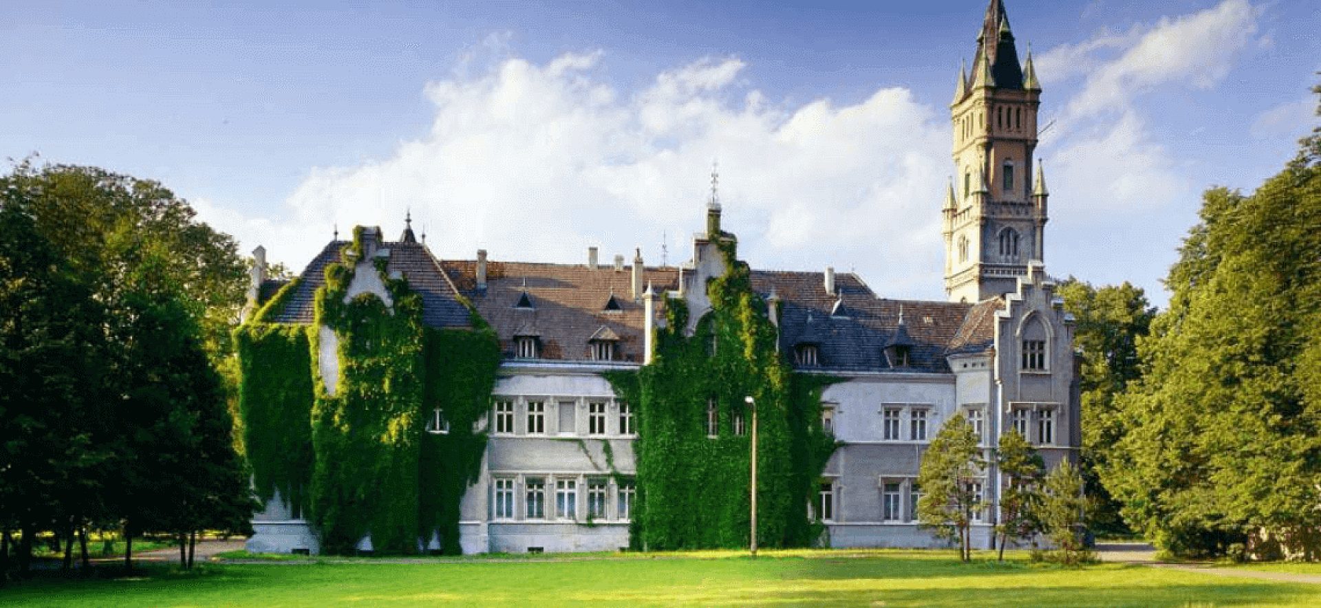 Pałac w Nakle Śląskim 7 Pałac w Nakle Śląskim 7