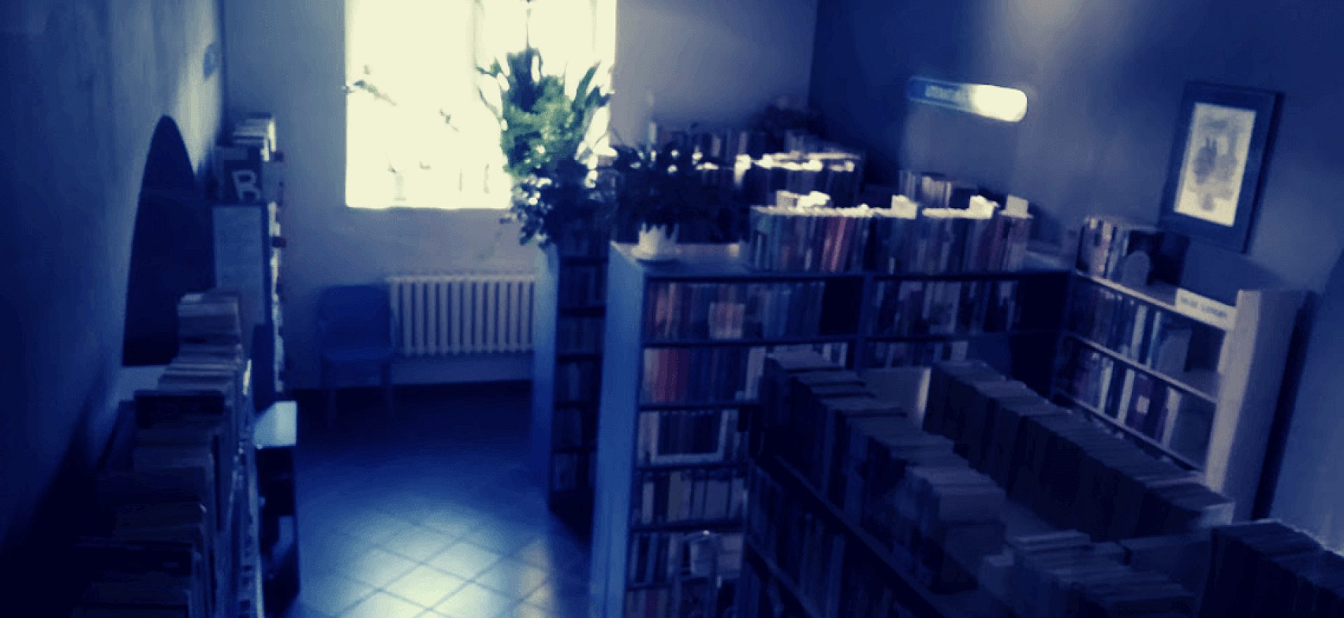 Tarnowskie Góry noc bibliotek 2022 Tarnowskie Góry noc bibliotek 2022