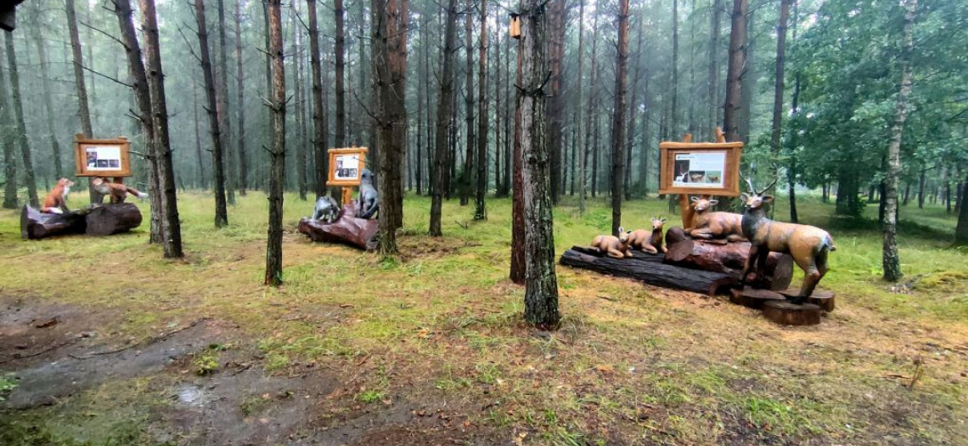Projekt bez tytułu 2021 09 20 T132001 362 Projekt bez tytułu 2021 09 20 T132001 362