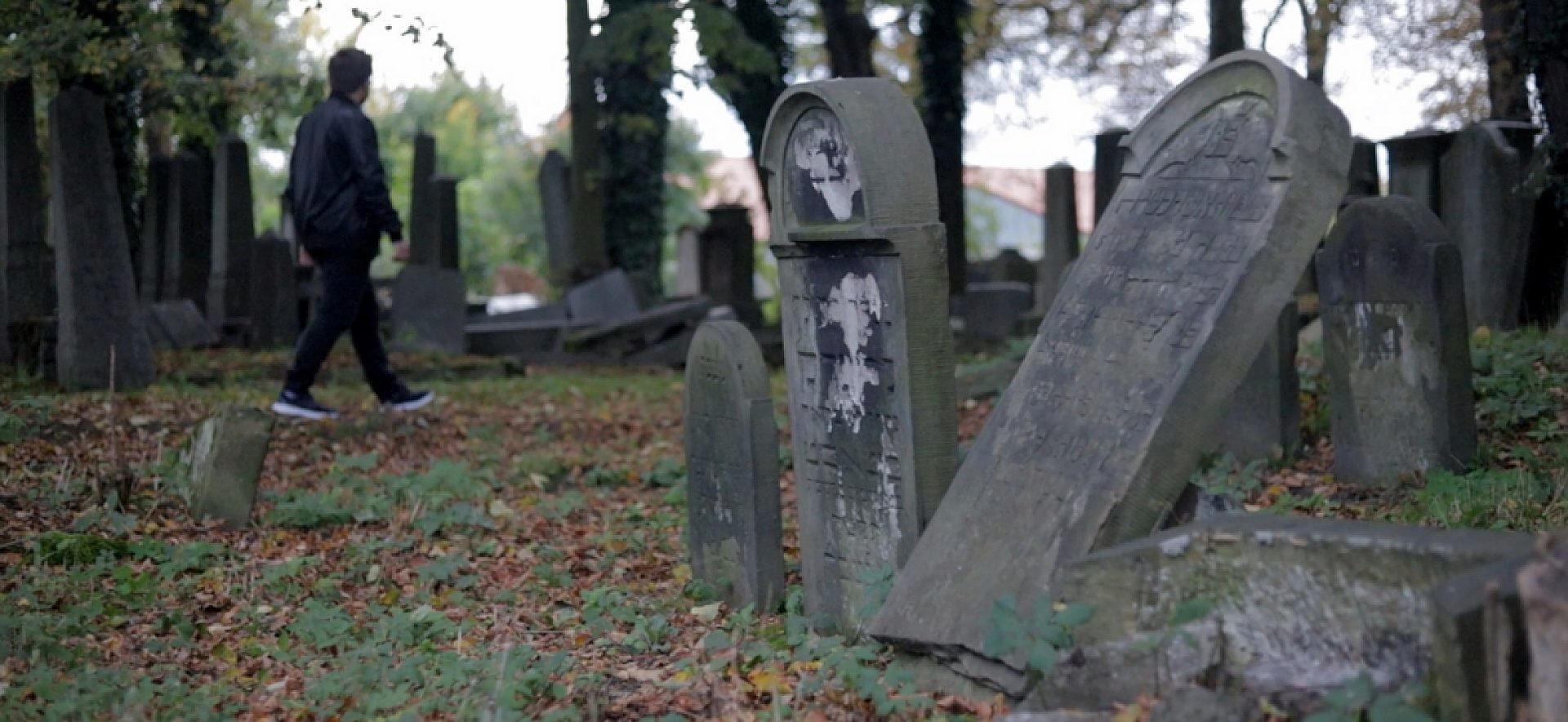 Tarnowskie Góry, stary cmentarz żydowski Tarnowskie Góry, stary cmentarz żydowski