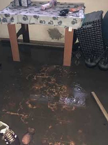 Ulewa Orzech Ulewa Orzech