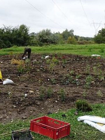 Śląski Ogród Botaniczny w Radzionkowie Śląski Ogród Botaniczny w Radzionkowie