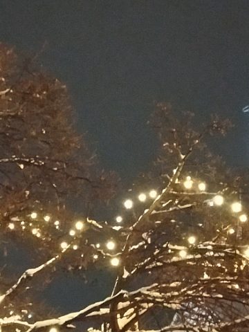 Tarnowskie Góry - świąteczne dekoracje 2021 Tarnowskie Góry - świąteczne dekoracje 2021