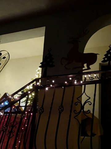 Dekoracja pana Joachima Galusa Dekoracja pana Joachima Galusa